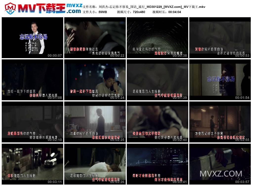 刘洪杰-忘记你不容易_国语_流行_MD301229